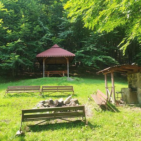 Apartament Widokowy Ul Bukowa 비스와 외부 사진